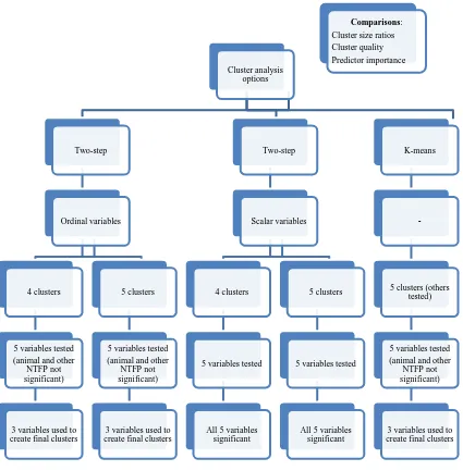 Figure 2. Cluster analysis options 