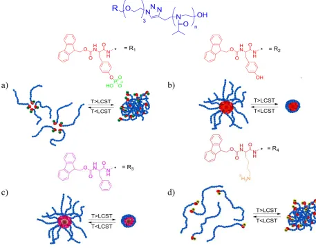 Figure 1. Schematic representation of self assembly behaviour of single component  temperature but precipitates above the lower critical solution temperature (LCST) as shown Fmoc-amino acid functionalised PiPrOx systems