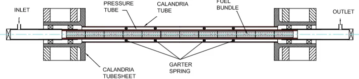 Figure 1: PHWR Channel