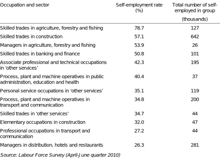 Table 2.6 ‘Hotspots’ of self-employment (occupations within sectors), 2010 