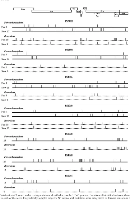 FIG. 3. Distribution of forward and reverting mutations identiﬁed across the HIV-1 genome