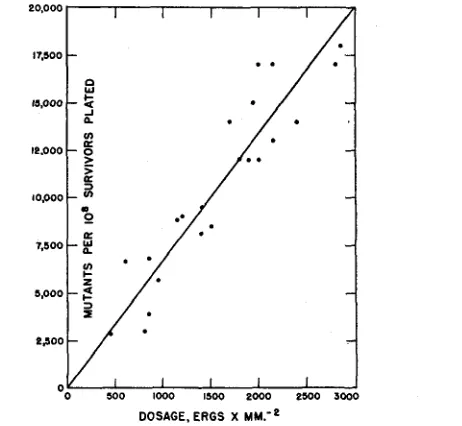 FIGURE 1.-Plot strain of data on mutants (both sensitive and resistant) induced by treating B/Sd-4 of E