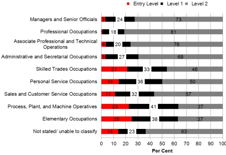 Figure 14 Respondents’ Occupational status and literacy