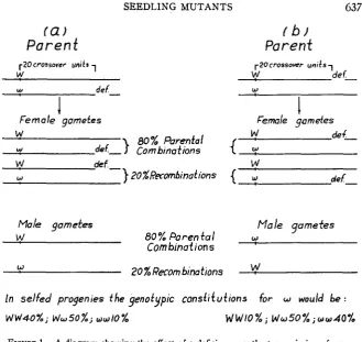 FIGURE 1.-A (a) Assuming that a deficiency and a gene mutation 