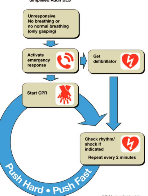 Figure 3. Simplified Adult BLS Algorithm.