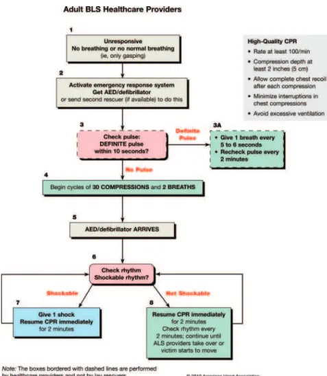 Figure 2. BLS healthcare provider algorithm.