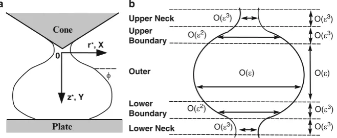 Fig. 1 (a) Schematic drop proﬁle. (b) Drop asymptotic regions (neither drawn to scale.)
