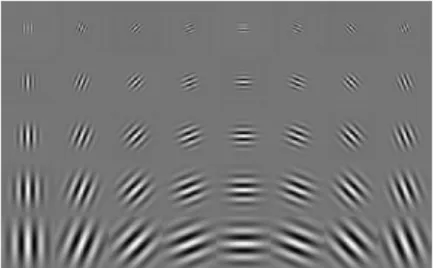 Figure 7: Response of Gabor Kernel using Different Orientations and Phases   