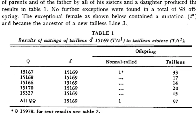TABLE 2 Results of mating tests of exceptional normal-tailed female (15978) t1/t3. 