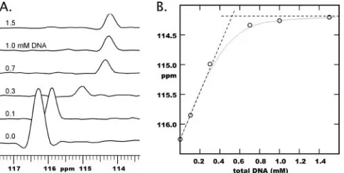 Fig. 7, T-ag OBD residues implicated in binding to ssDNA are
