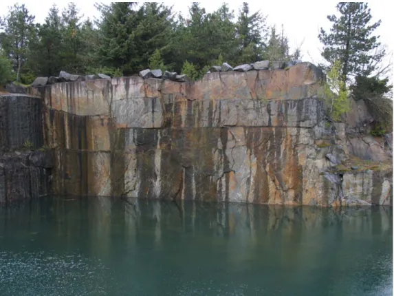 Figure 17. Section of the Paradisbakke Migmatite in the Præstebo quarry (high approx. 12  m)