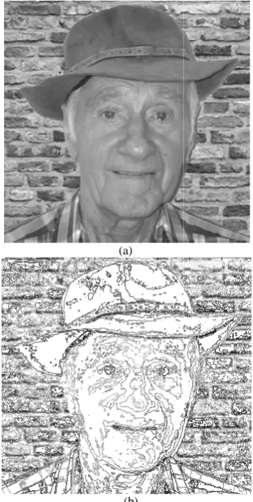 Figure 1. (a) The original image of Peter.tifis a contour representation of (a) for contour8 grey-scale values