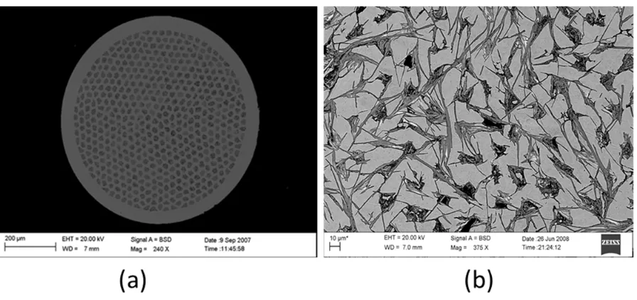 Figure 1.4. Cross-sectional scanning electron microscopy images of Bi2112 round wires: 