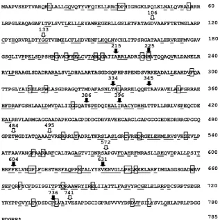 FIG. 9. Amino acid sequence of HSV-1 UL28. The arrows show the sites of the linker insertions