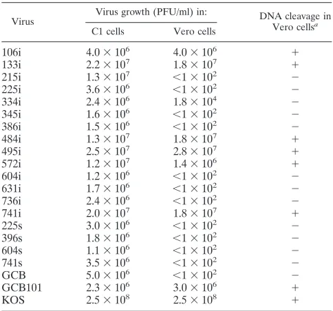 FIG. 2. Southern blot analysis of DNAs from UL28 mutants conﬁrming the locations of mutations