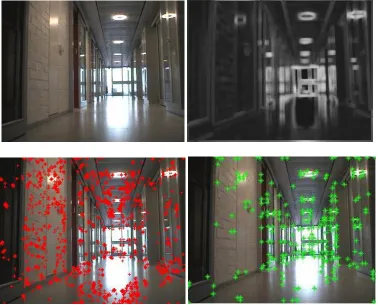 Fig 5. Another group of results under different illumination conditions: the top left one is the original image, and the top right one is its RMS contrast image