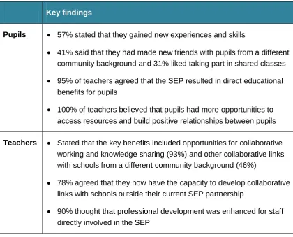 Table 3: Examples of key findings of the initial SEP evaluation 