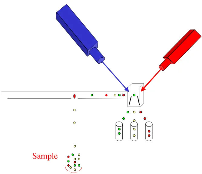 Figure 4. Sorting. This figure illustrates the general system for sorting with a flow cytometer.