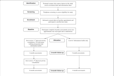 Figure 1 Study Flow.