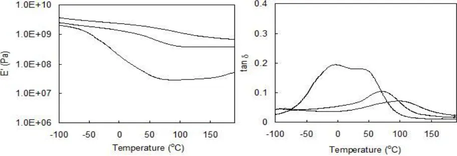 Figure 3: Dynamic viscoelasticity of crosslinked films from 2: (A) storage modulus (E’); (B) loss factor (tan θ)