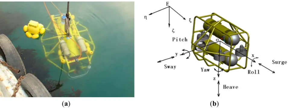 Figure 1. (a) C-Ranger in deployment; (b) The coordinate system of the C-Ranger platform