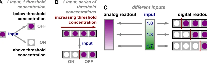 Figure 2 Illustration of analog-to-digital conversion based on thresholds. (A) ON (clear)/OFF series of ON/OFF bits created by increasing threshold concentrations