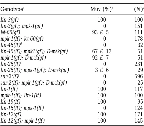 TABLE 5