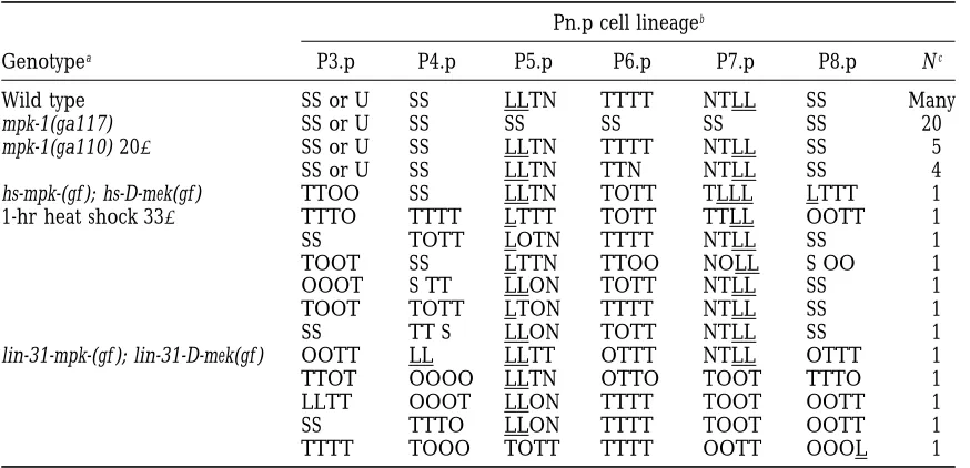 TABLE 3