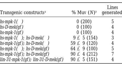 TABLE 4