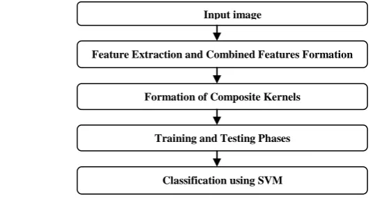 Figure 1. Proposed Work Flow   