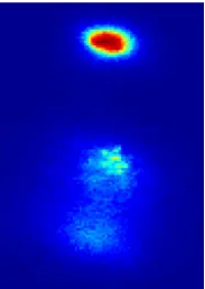 Figure 4. scan. Note that the image is not transformed to reciprocal space.  The X-ray diffraction intensity speckle pattern for sample A observed during spatial  
