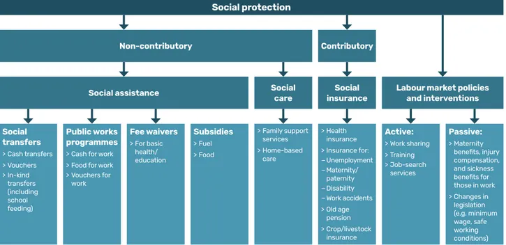 Figure 1. Taxonomy of social protection instruments