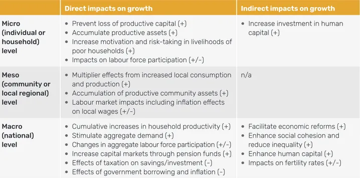 Table 4.  Social protection and economic growth framework