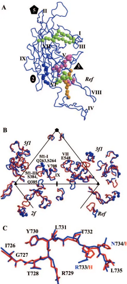 TABLE 3. AAV2-AAV4 variable regions and reported functional roles in AAV2