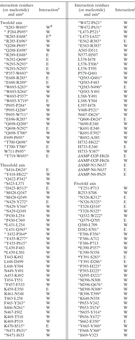 TABLE 2. Summary of the types of interactions betweensymmetry-related AAV4 VP3 monomers