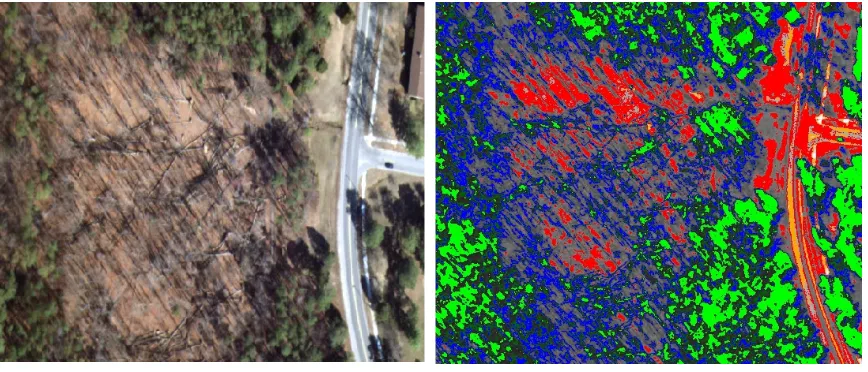 Figure 4: NDVI classification, outlines of some downed trees can be seen in blue. 