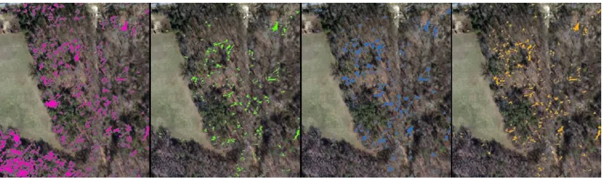 Figure 9: Example of four passes of the first iteration.  After visual inspection the “best” classification is chosen for the second iteration