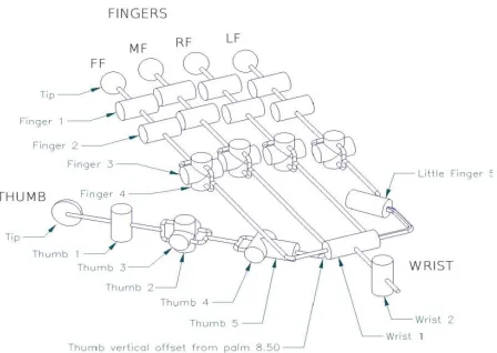 Fig 2 Kinematics of Shadow Hand   