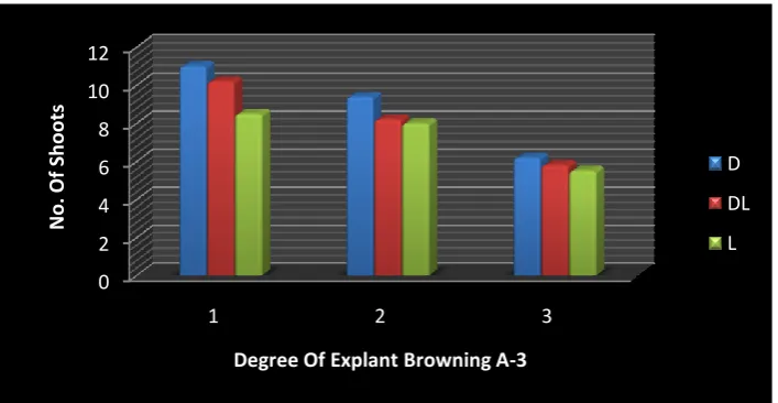 Figure 3.3: Effect of Light Duration and Degree of Explant Browning on Number of   Shoots Produced on Media with 100mg/l  Ascorbic Acid 