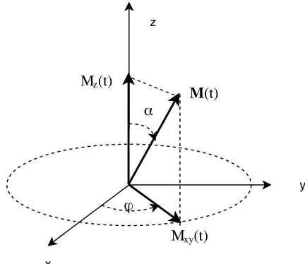 Figure 2.1 Figure illustrating the magnetization vector