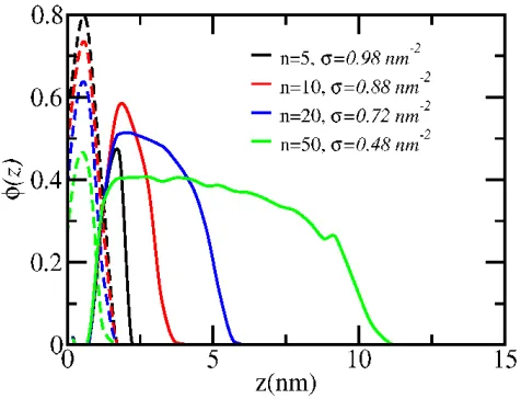 Figure 4. The volume fraction profiles of PMP1 at varying chain lengths. The substrate surface is 