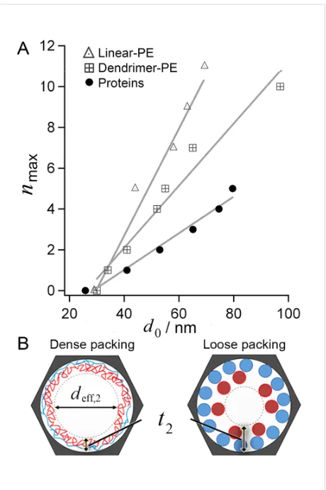 Figure 3: (A) Maximum number of macromolecular LbL steps (nmax)for proteins, linear-PE and dendrimer-PE multilayers in AAOsubstrates as a function of initial d0