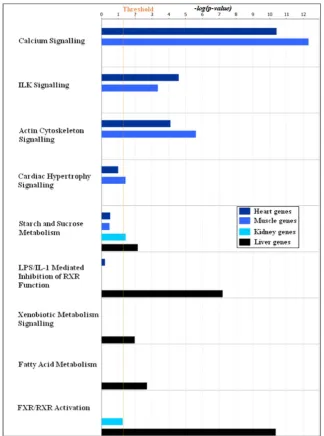 Figure 7. Enrichment of canonical pathways in the four tissue specific gene clusters. The top one hundred most influential probe-sets in