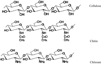 Figure 3. Structures of cellulose, chitin and chitosan [4]. 