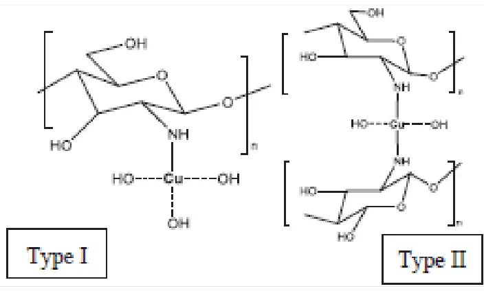Figure 4. Two types of chitosan-copper complexes based on the different conditions [2]