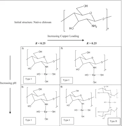 Figure 7. Structures of the original chitosan monomer and the effect of introducing Cu(II) 