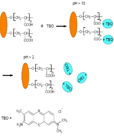 Figure 8.Schematic diagram for the quantitative analysis of –COOH groups using Toludine 