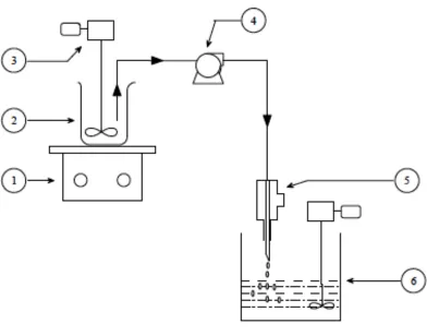 Figure 9. Schematic diagram: Apparatus for preparing iron-chitosan beads [46]. 