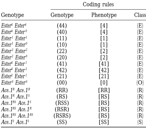 TABLE 1