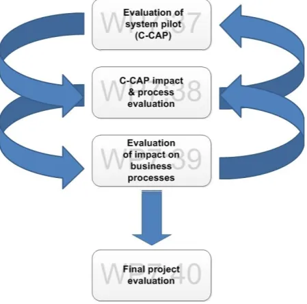 Figure 1: Overview diagram of the PiP evaluation strands; note the recursive relationship between WP7:38 and 39
